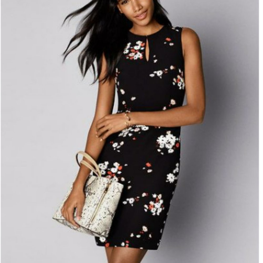 Ann Taylor Black Floral Sleeveless Sheath Dress